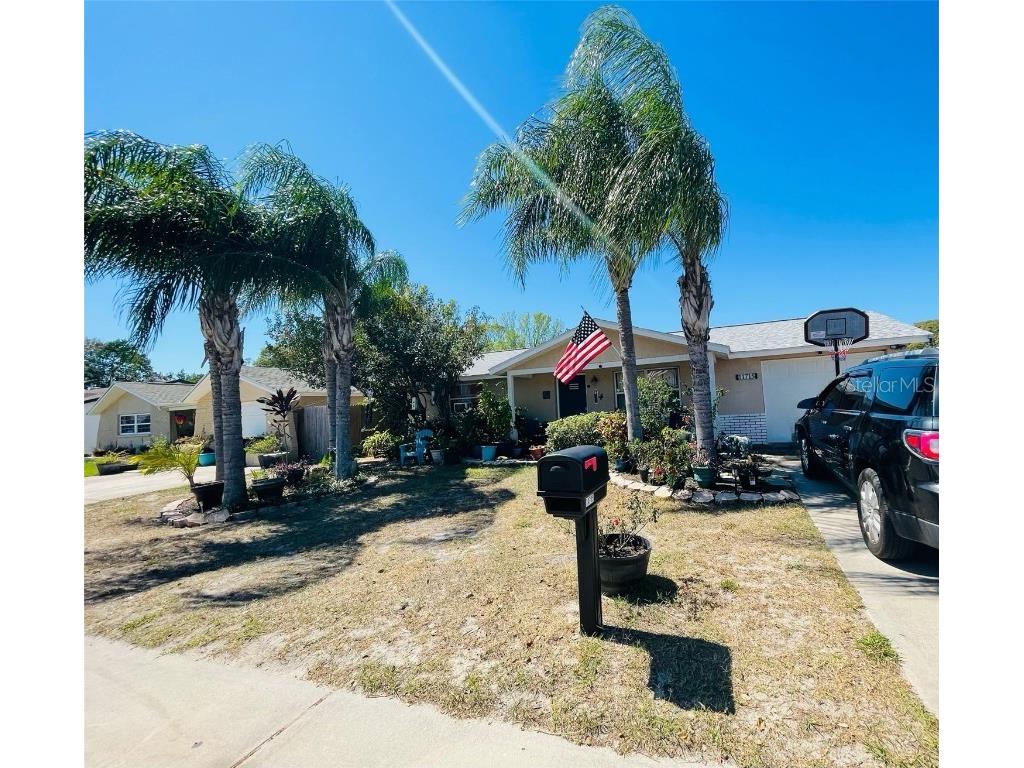 11715 Meadow Drive Port Richey FL 34668 T3433562 image1