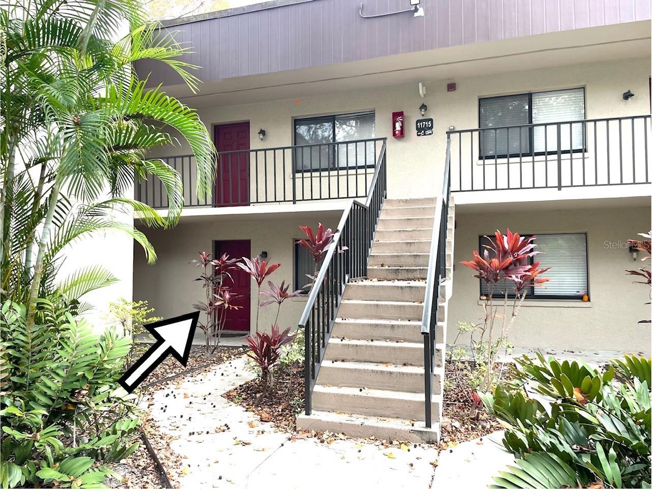 11715 Raintree Village Boulevard #A Temple Terrace FL 33617 TB8500625 image23