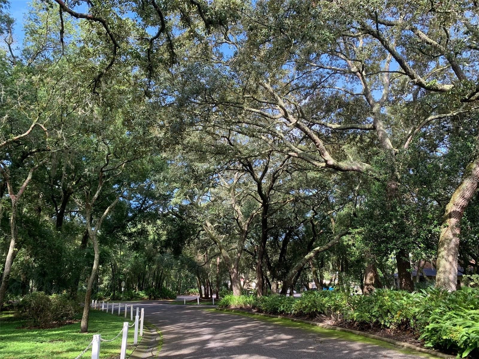 11715 Raintree Village Boulevard #A Temple Terrace FL 33617 TB8500625 image27