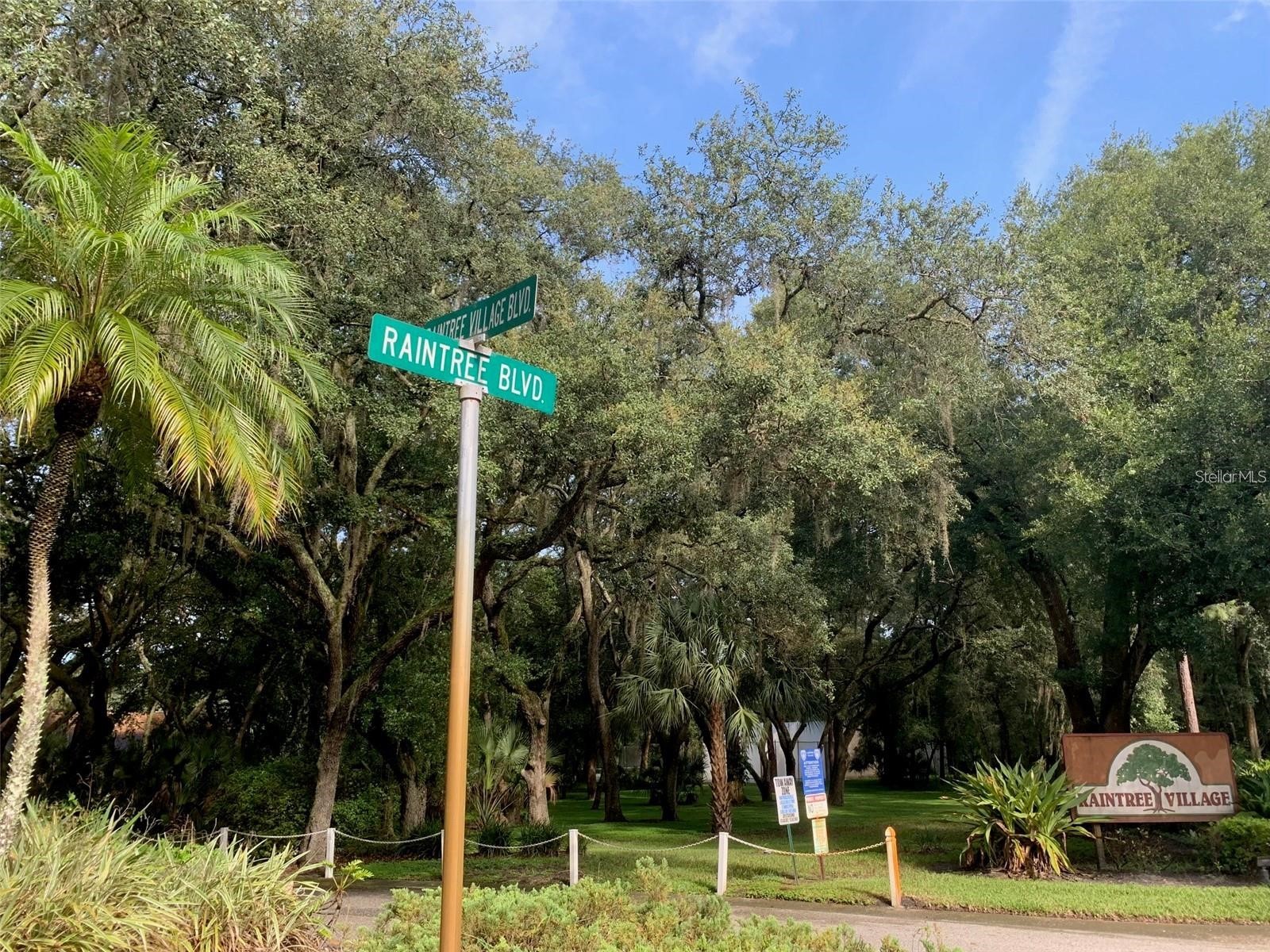 11715 Raintree Village Boulevard #A Temple Terrace FL 33617 TB8500625 image28