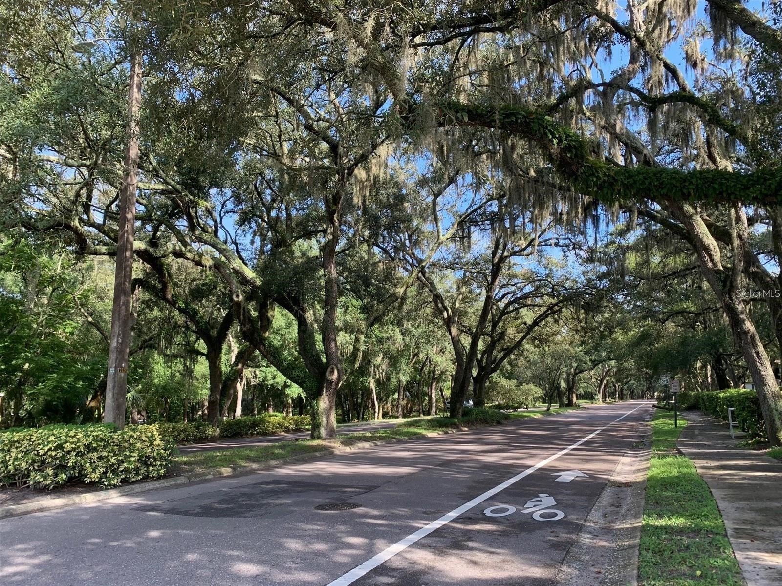 11715 Raintree Village Boulevard #A Temple Terrace FL 33617 TB8500625 image29