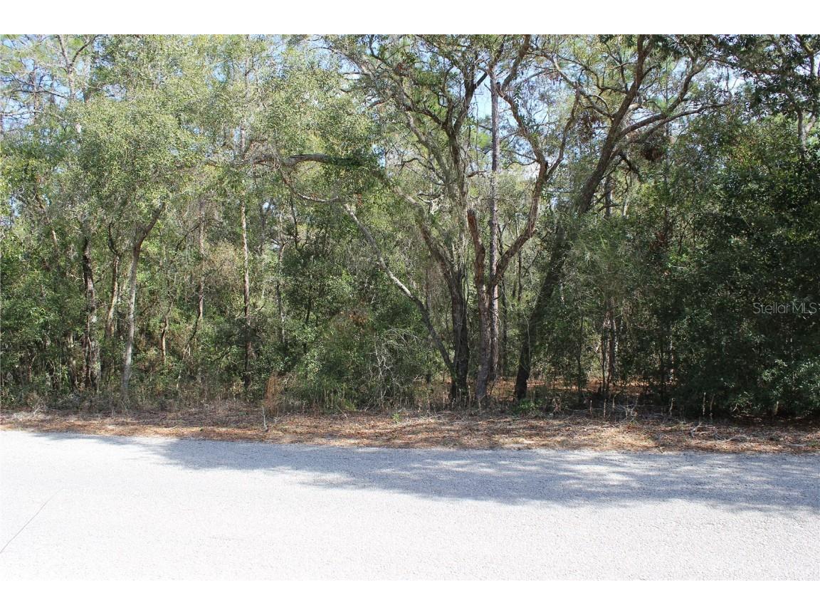 11715 S Rural Terrace Floral City FL 34436 W7872155 image1