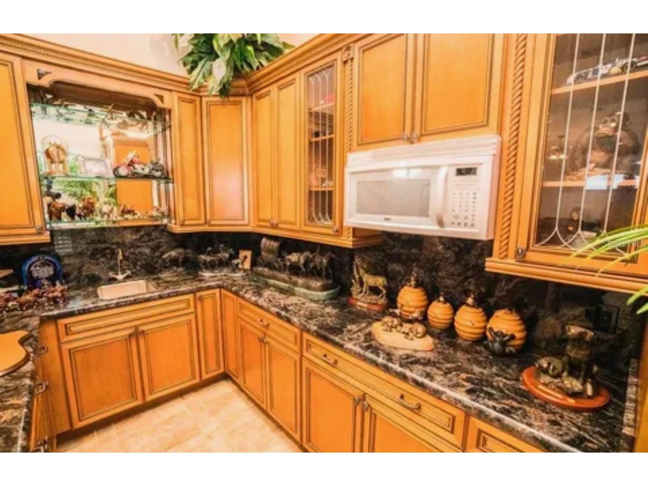 11715 Taylor Road Thonotosassa FL 33592 - LAKE THONOTOSASSA S5149036 image11