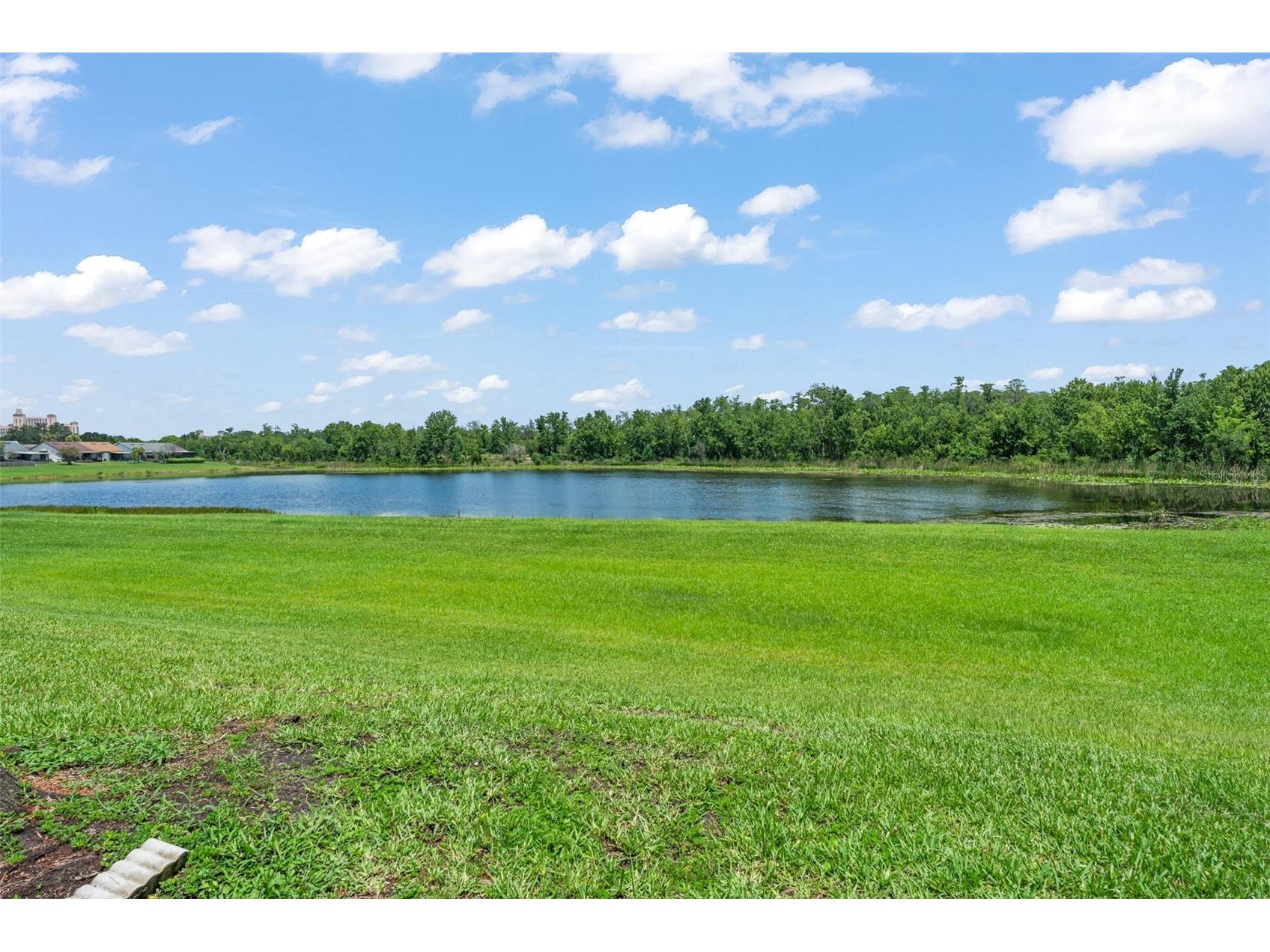 11715 Windbourne Court Orlando FL 32837 O6423843 image33