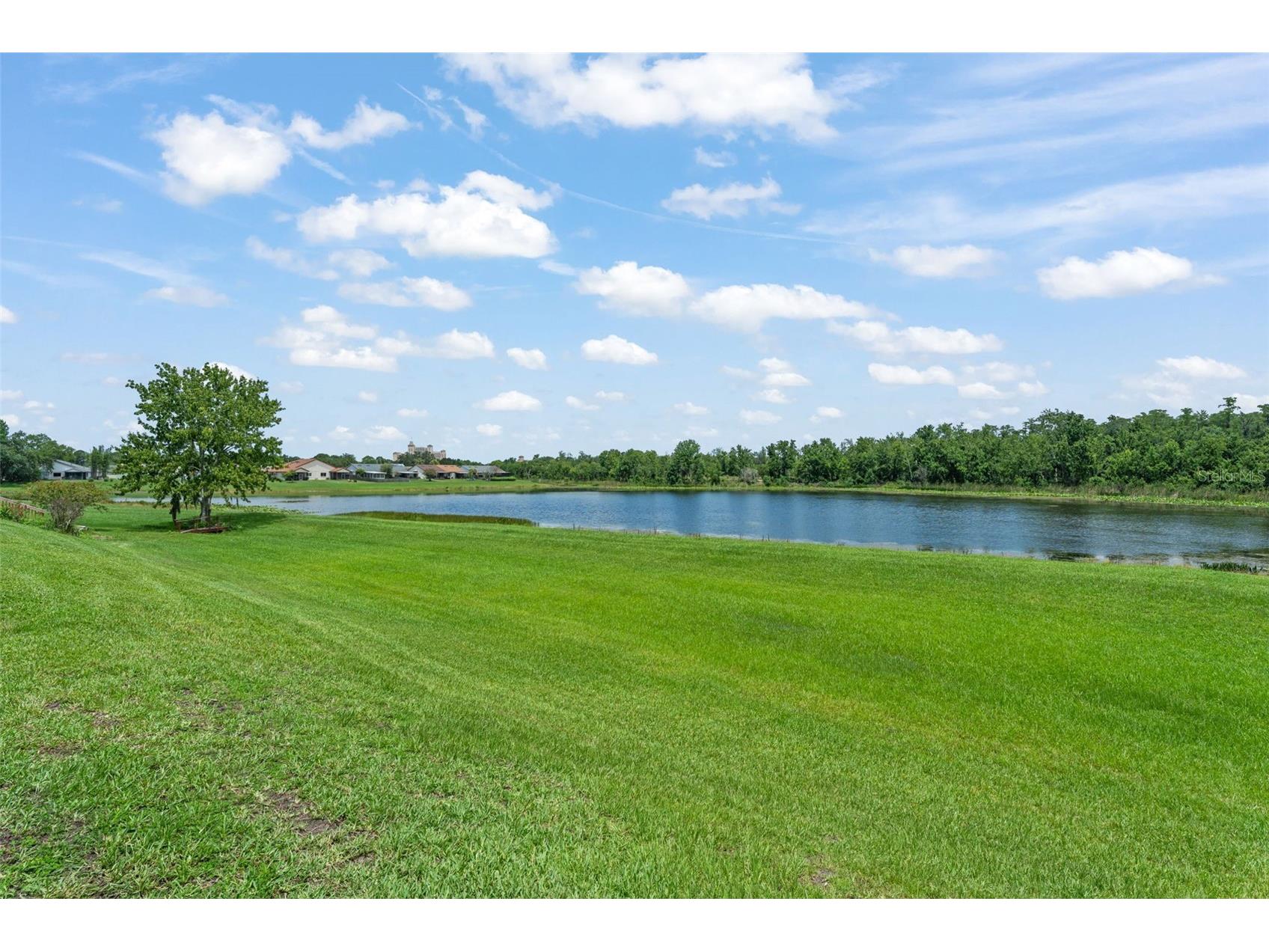 11715 Windbourne Court Orlando FL 32837 O6423843 image34