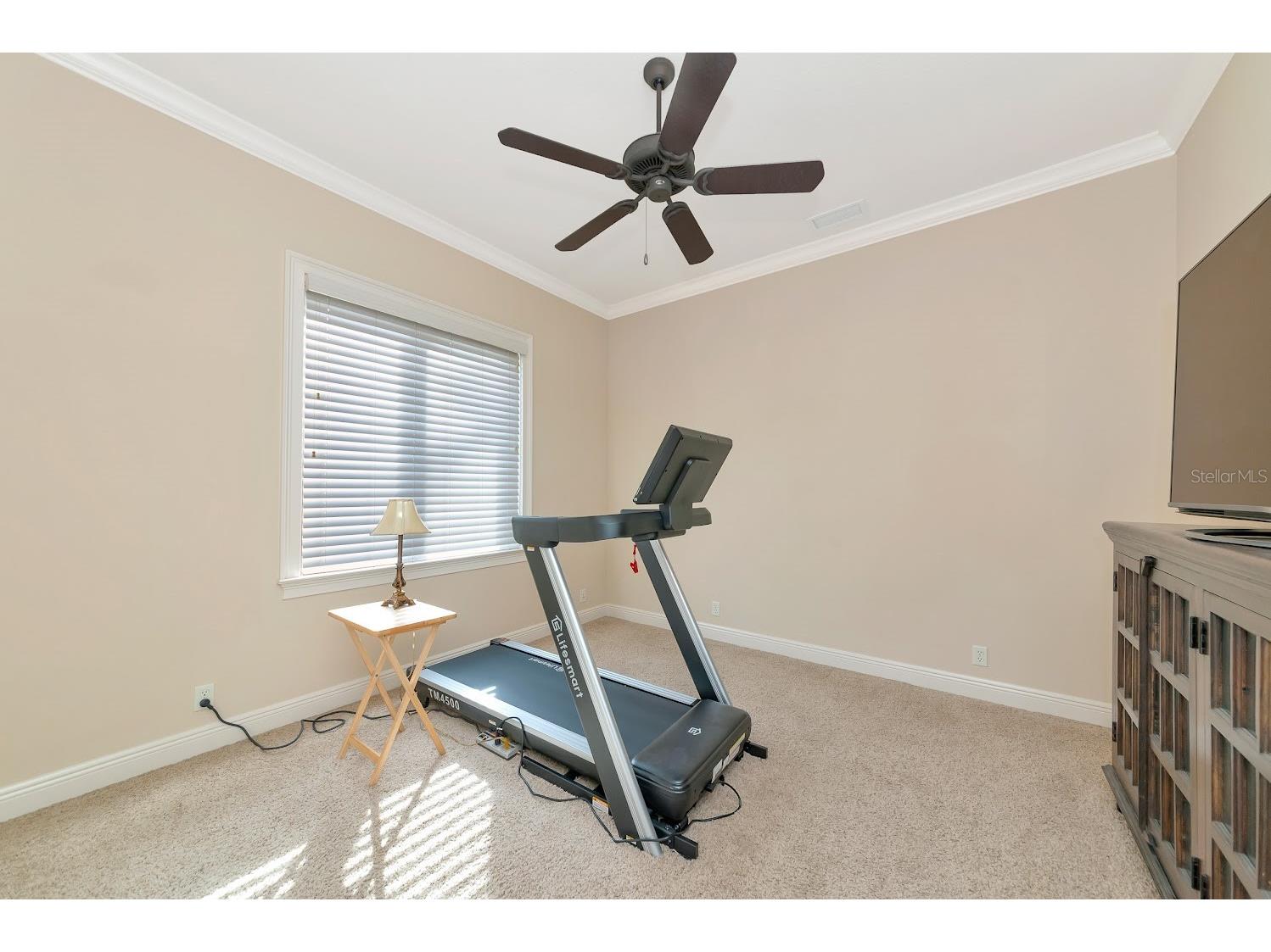 11716 River Shores Trail Parrish FL 34219 A4676604 image52