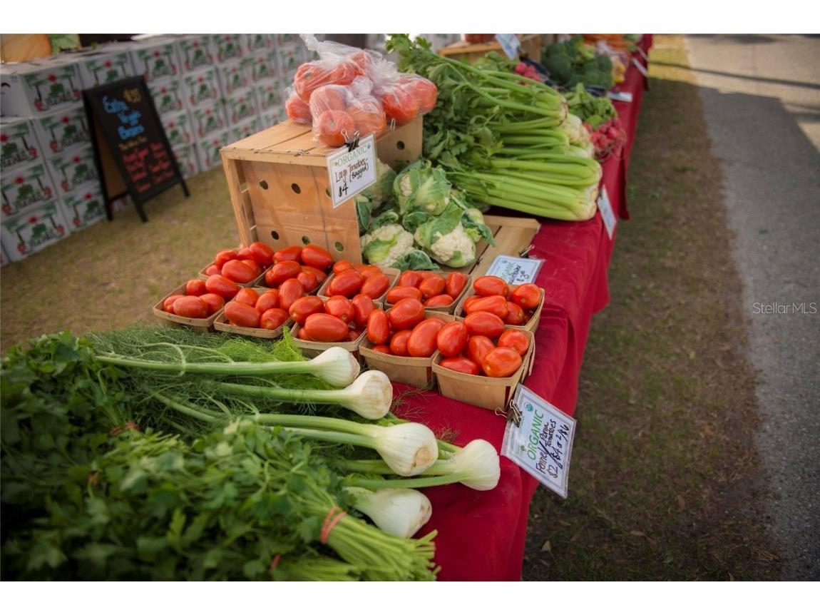 11716 Strandhill Court Lakewood Ranch FL 34202 A4645825 image88