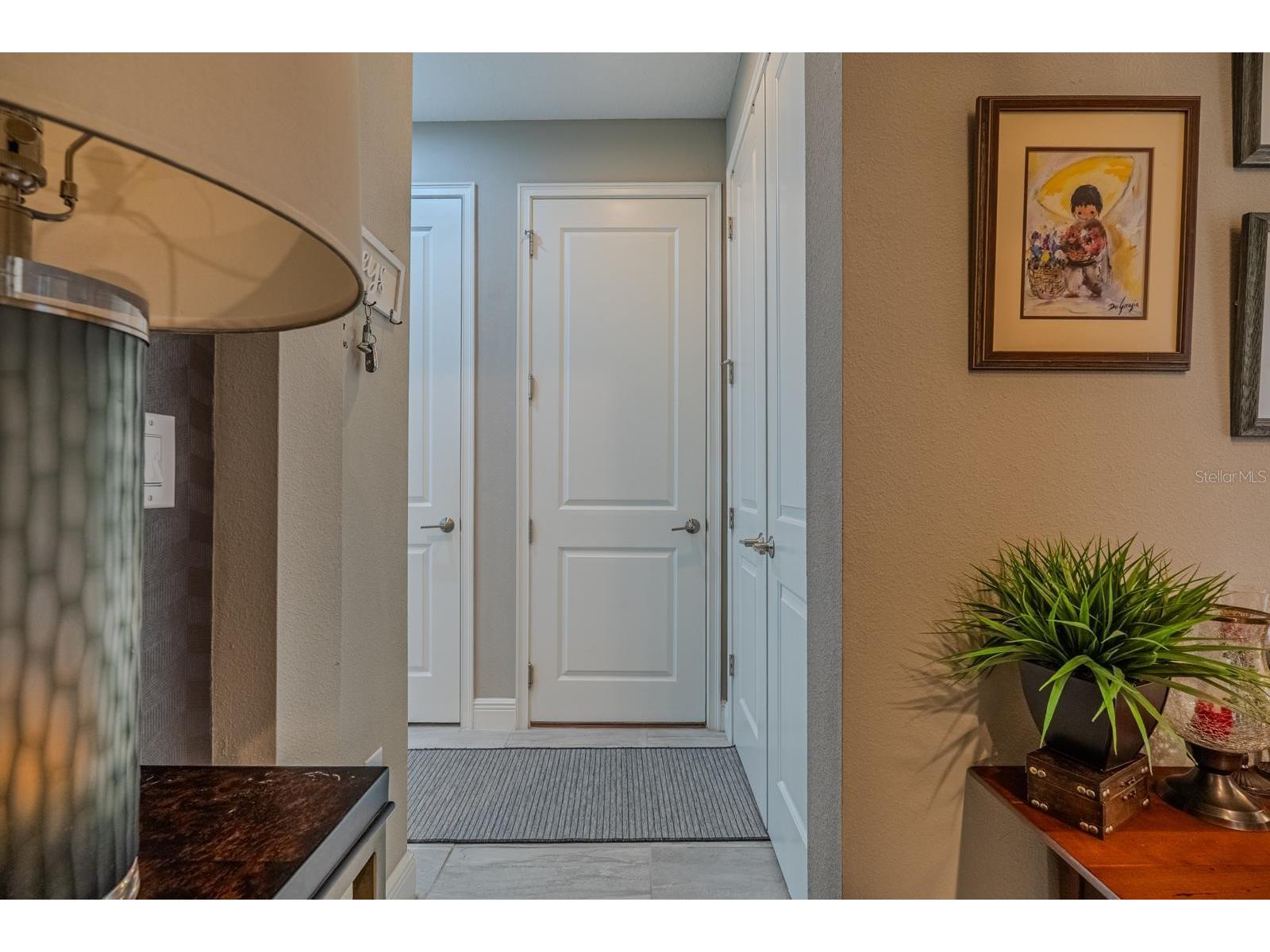 11716 Wrought Pine Loop Riverview FL 33569 TB8489414 image21