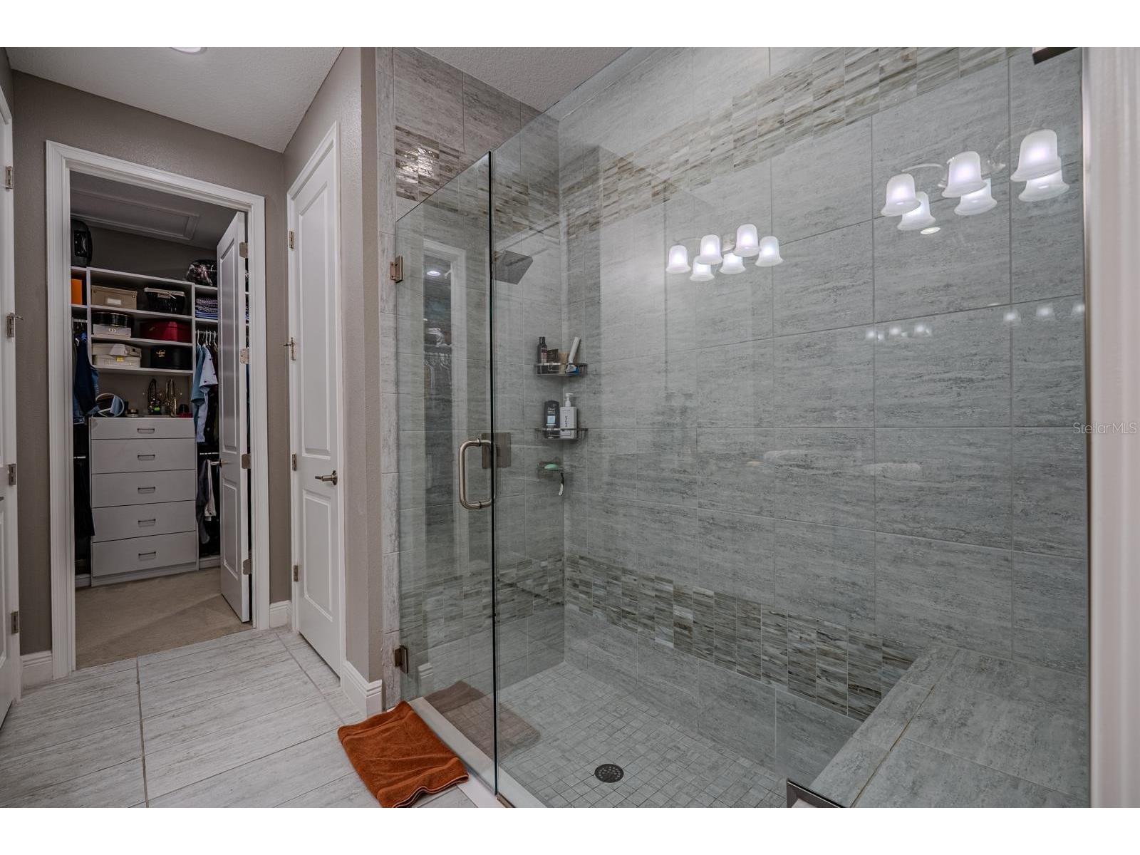11716 Wrought Pine Loop Riverview FL 33569 TB8489414 image26