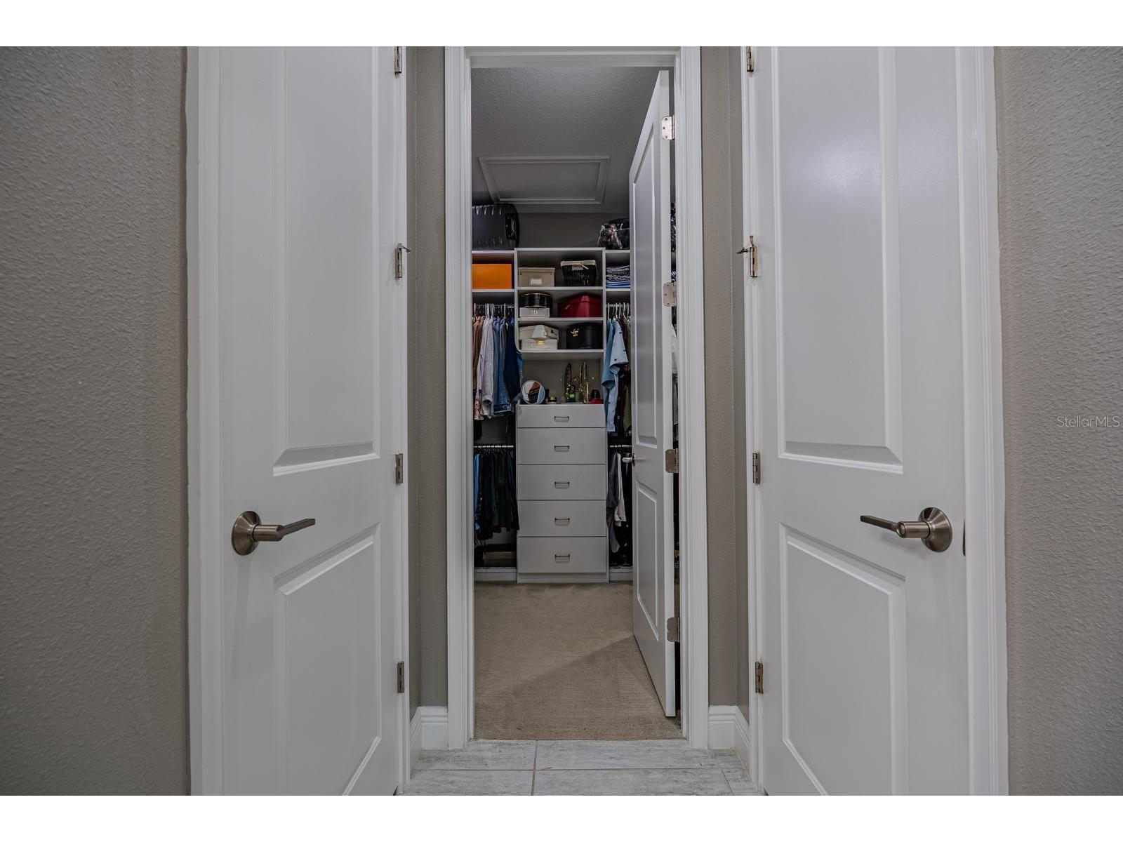 11716 Wrought Pine Loop Riverview FL 33569 TB8489414 image27