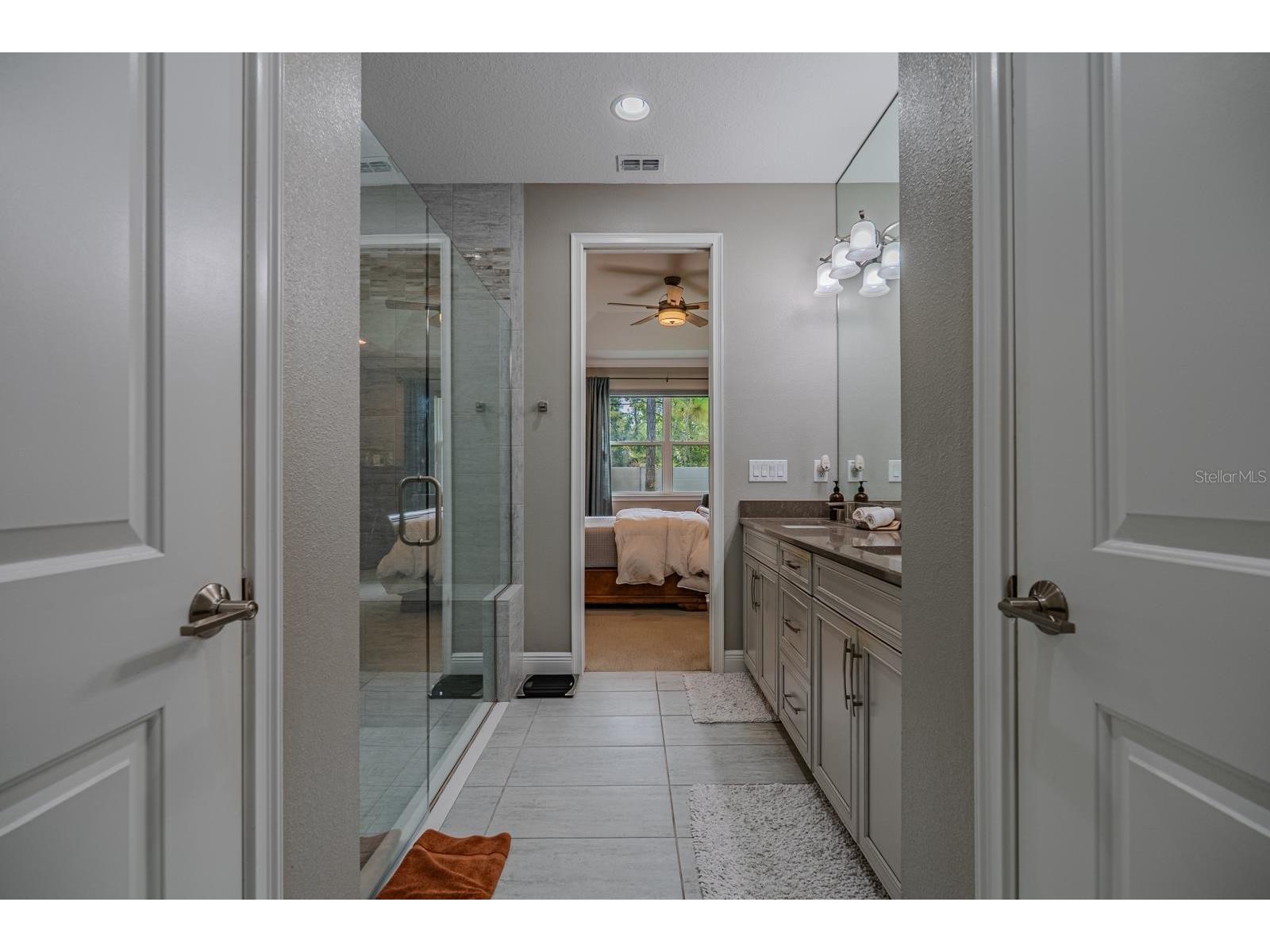 11716 Wrought Pine Loop Riverview FL 33569 TB8489414 image29