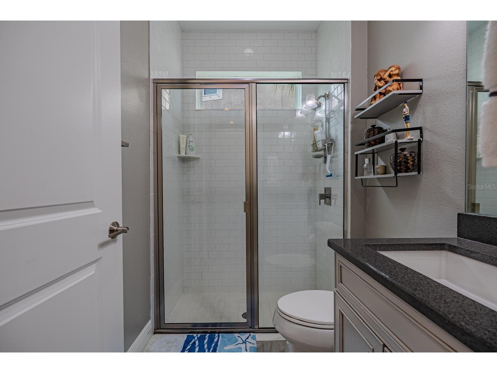 11716 Wrought Pine Loop Riverview FL 33569 TB8489414 image31