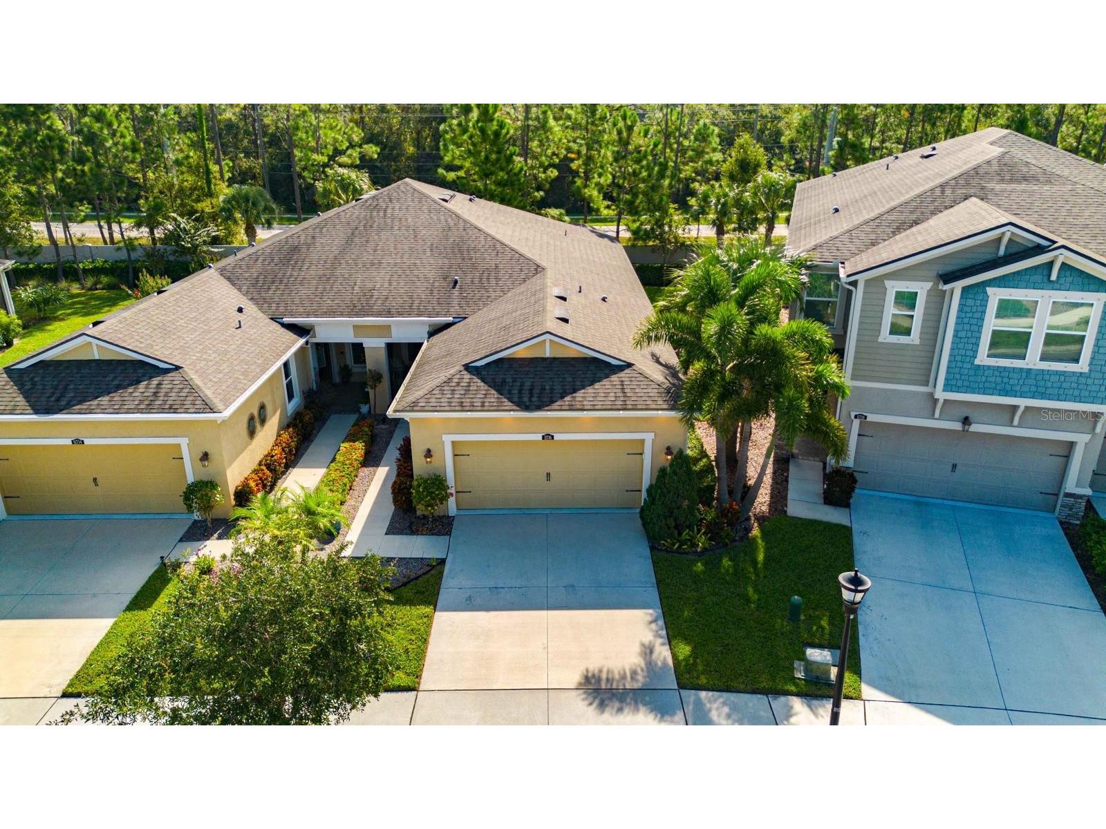 11716 Wrought Pine Loop Riverview FL 33569 TB8489414 image45
