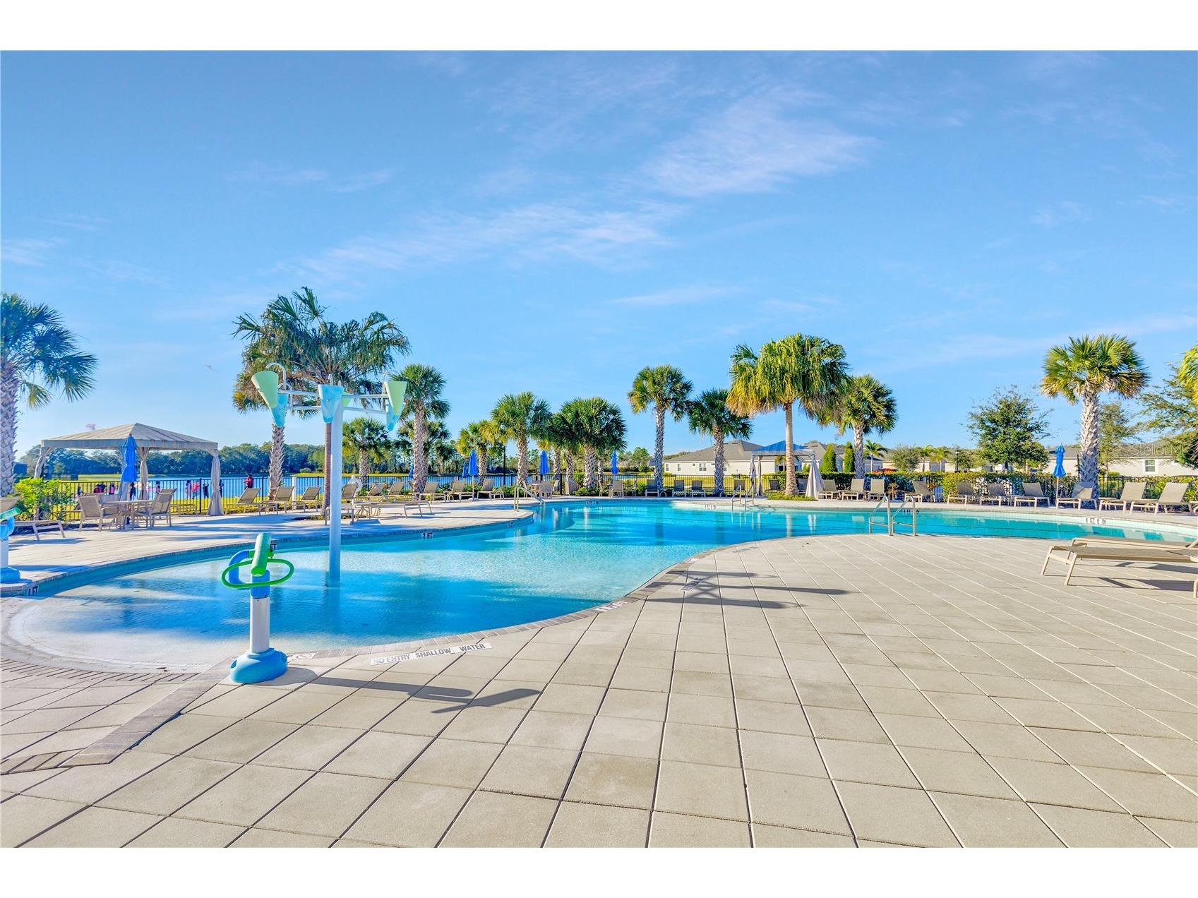 11716 Wrought Pine Loop Riverview FL 33569 TB8489414 image50