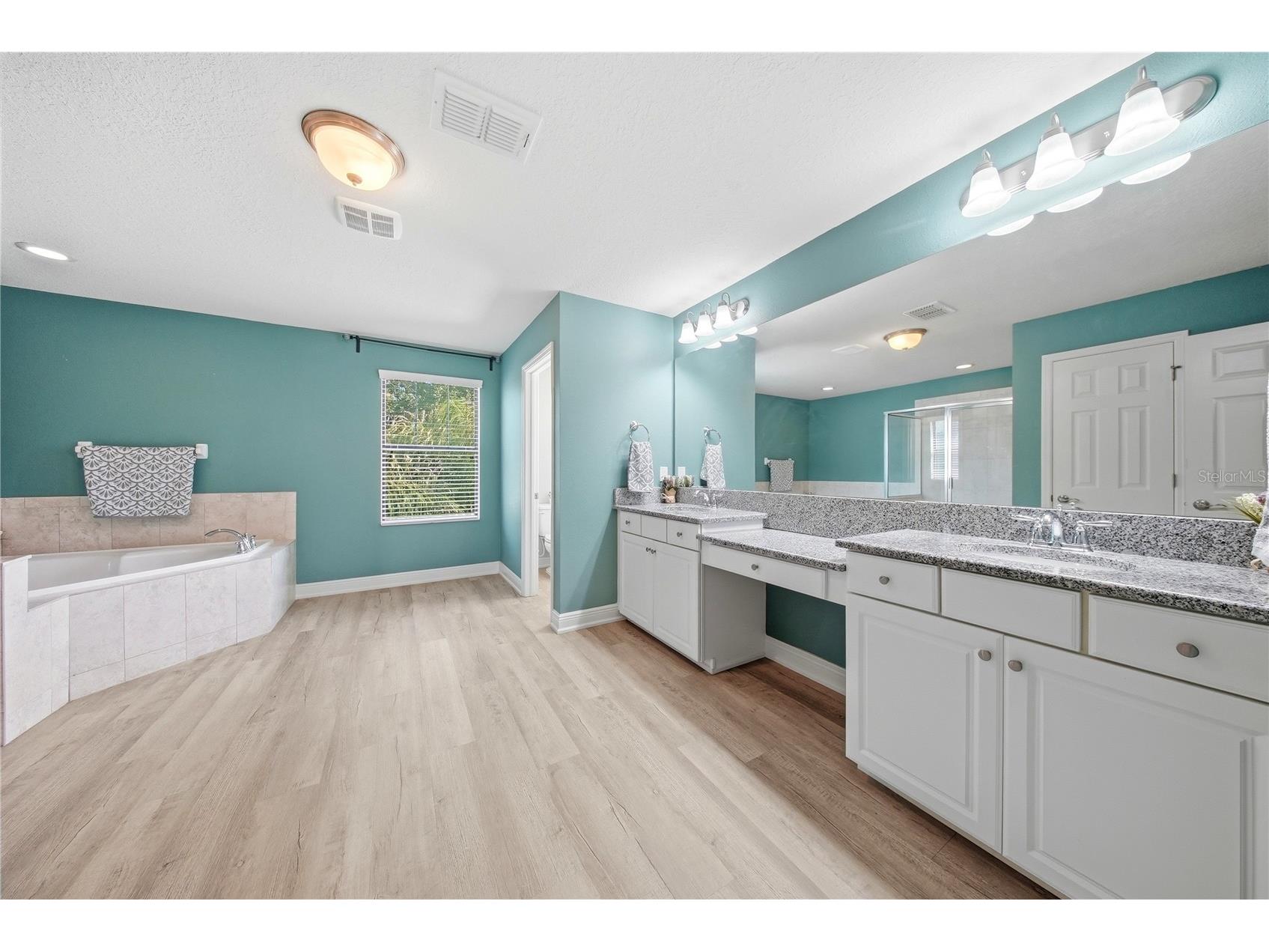 11717 Albatross Lane Riverview FL 33569 TB8500681 image28