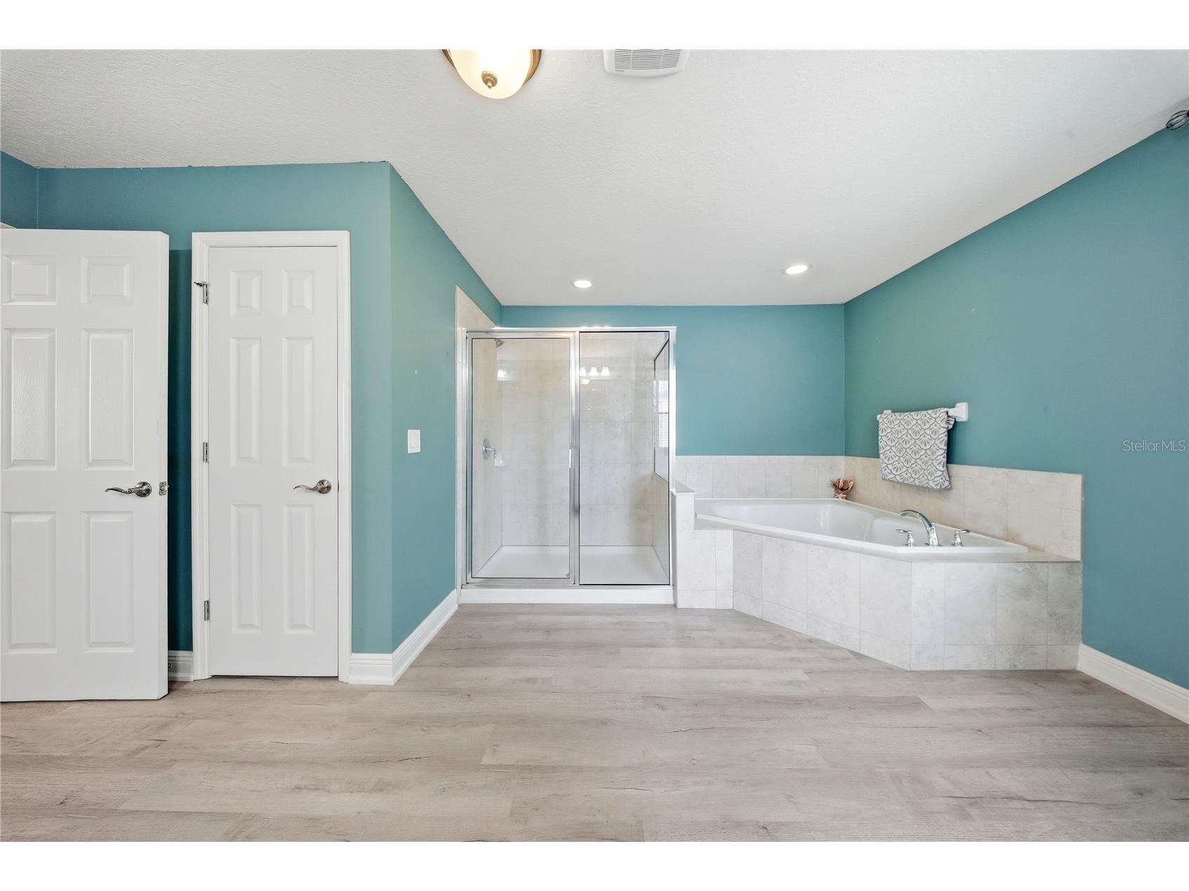 11717 Albatross Lane Riverview FL 33569 TB8500681 image29