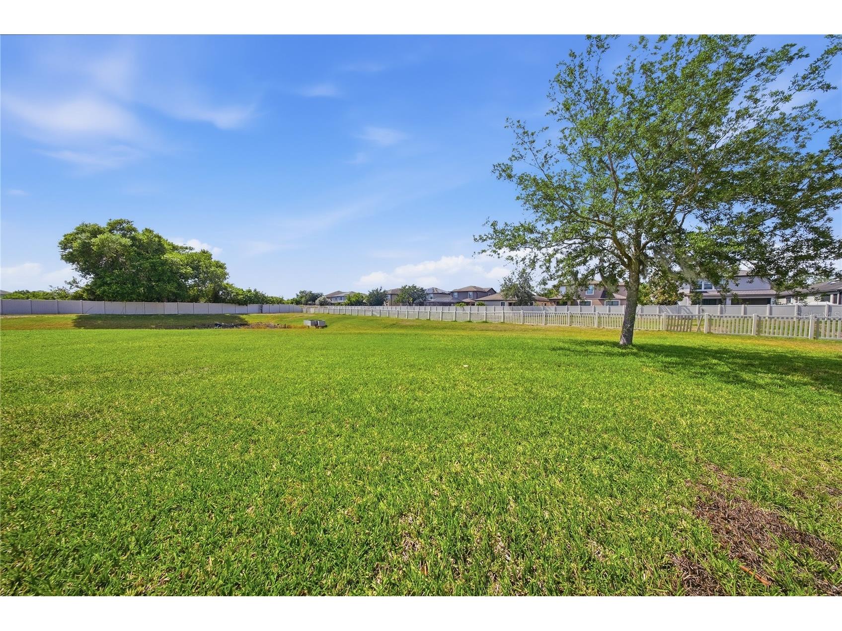 11717 Albatross Lane Riverview FL 33569 TB8500681 image39
