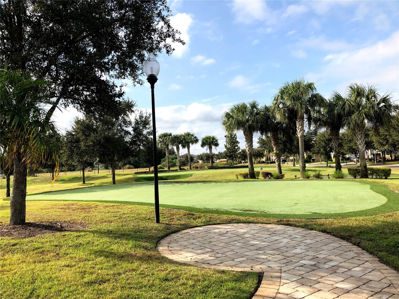 11717 Chateaubriand Avenue Orlando FL 32836 O6413551 image3