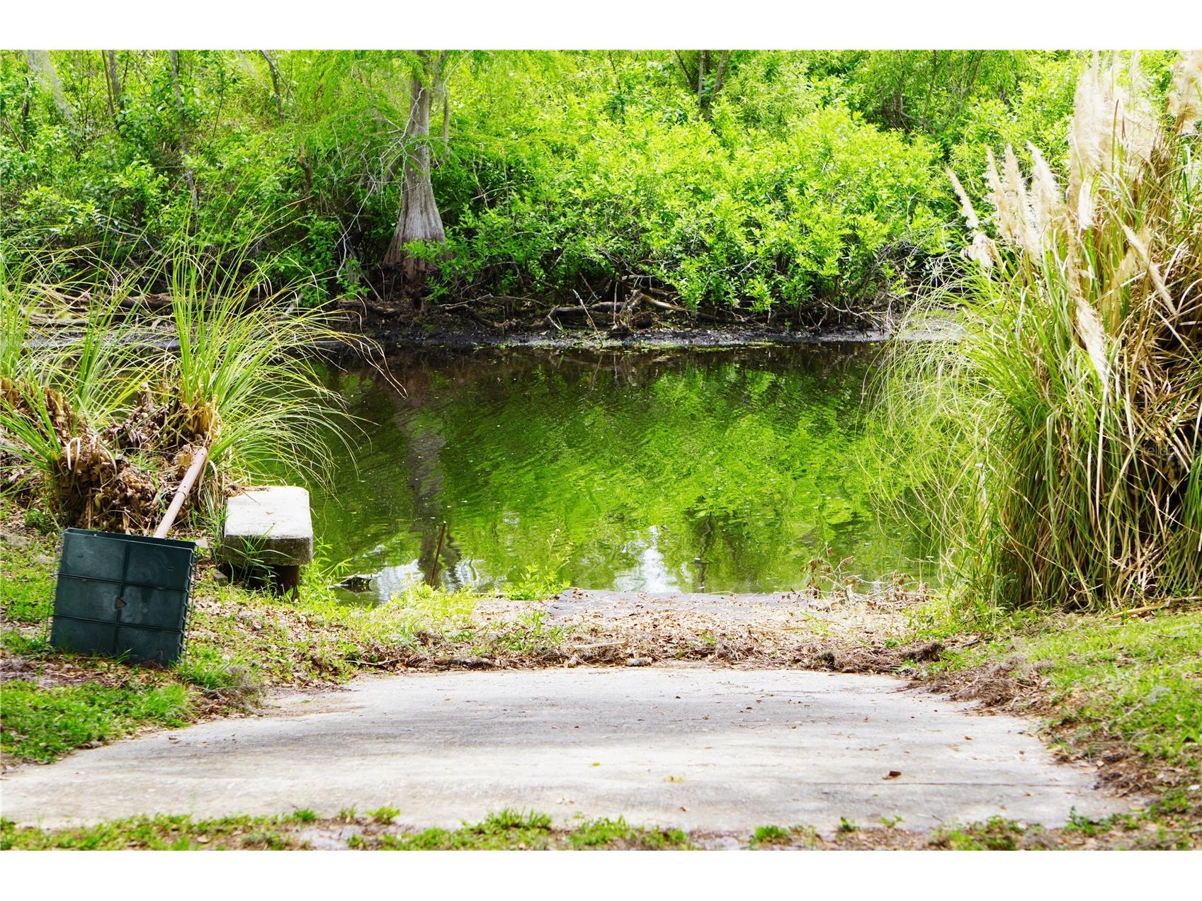 11717 E Salmon Drive Floral City FL 34436 - WITHLACOOCHEE RIVER BASIN K4903436 image13