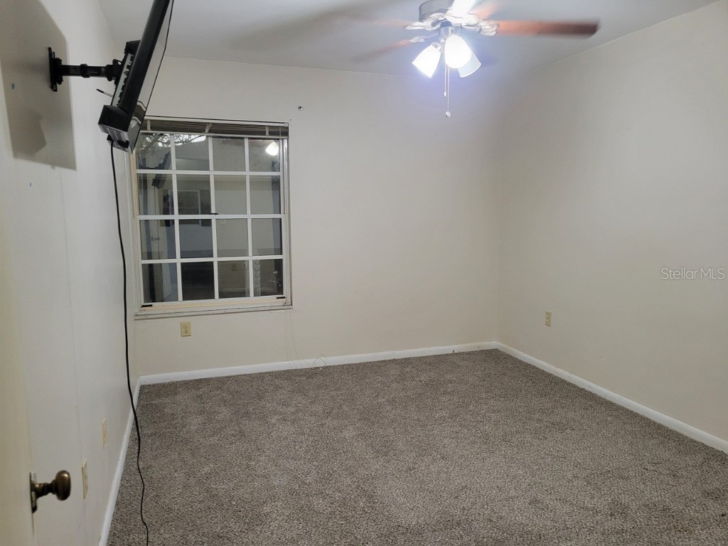 11717 Raintree Drive Tampa FL 33617 TB8426555 image14