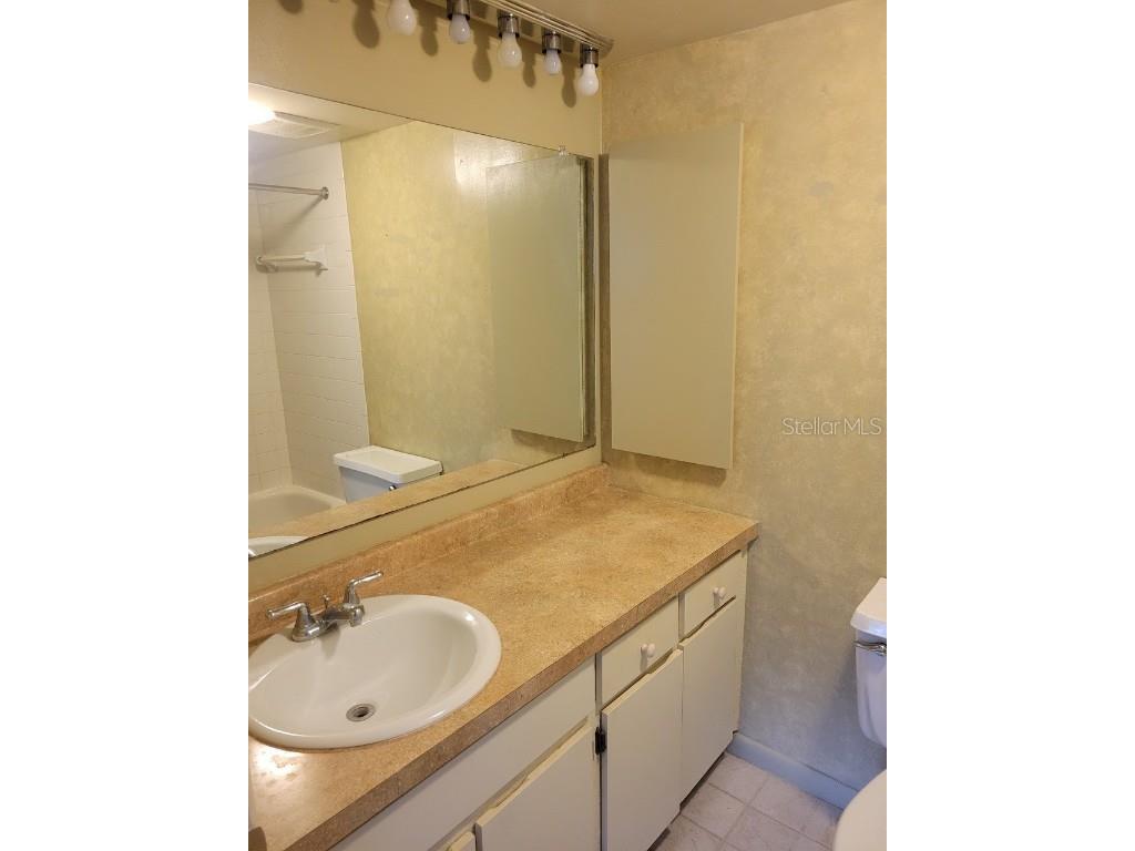 11717 Raintree Drive Tampa FL 33617 TB8426555 image15