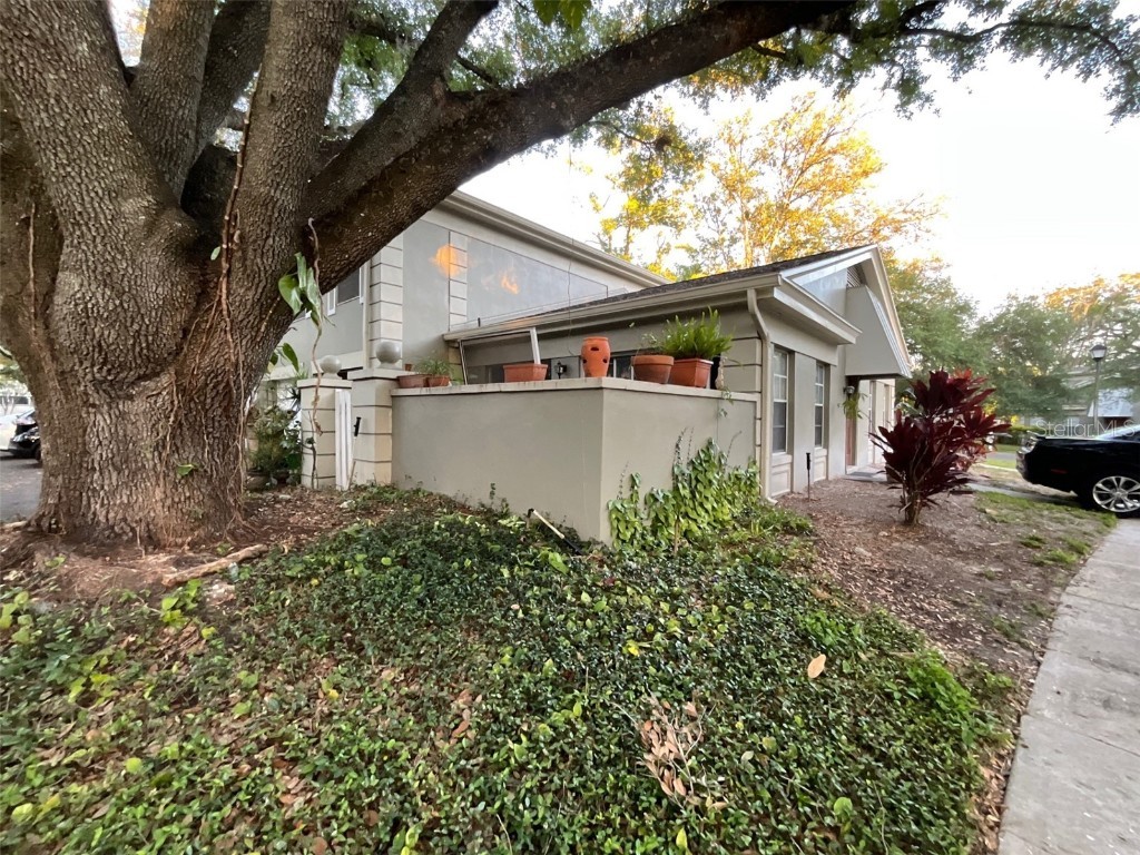 11717 Raintree Drive Tampa FL 33617 TB8426555 image2