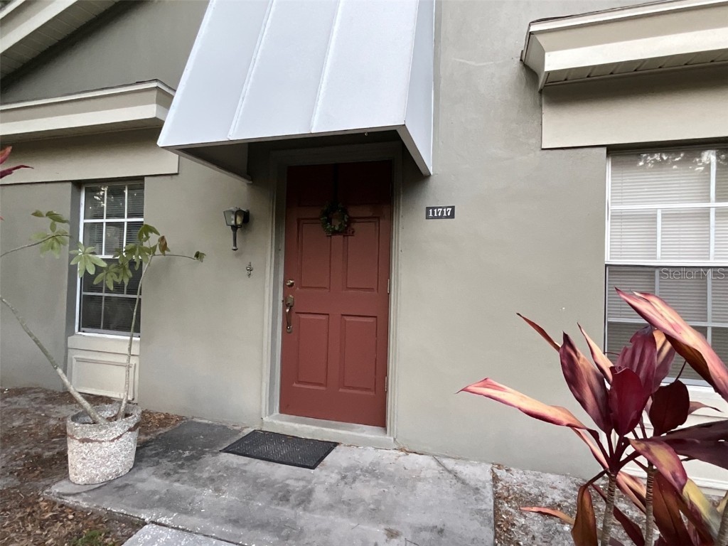 11717 Raintree Drive Tampa FL 33617 TB8426555 image3