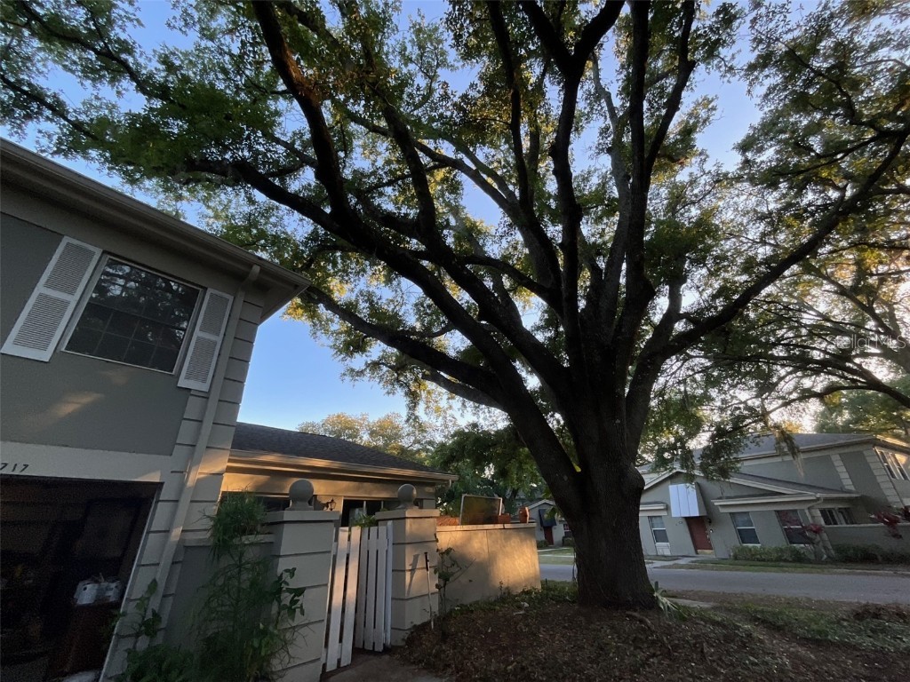 11717 Raintree Drive Tampa FL 33617 TB8426555 image4