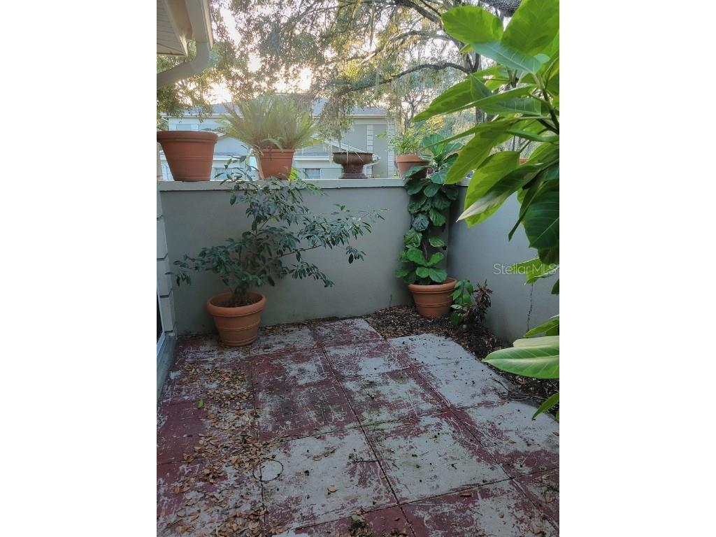 11717 Raintree Drive Tampa FL 33617 TB8426555 image5