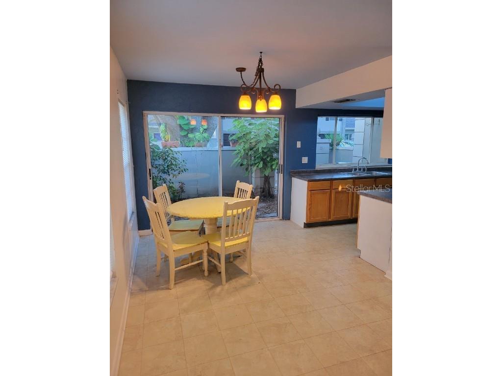 11717 Raintree Drive Tampa FL 33617 TB8426555 image6