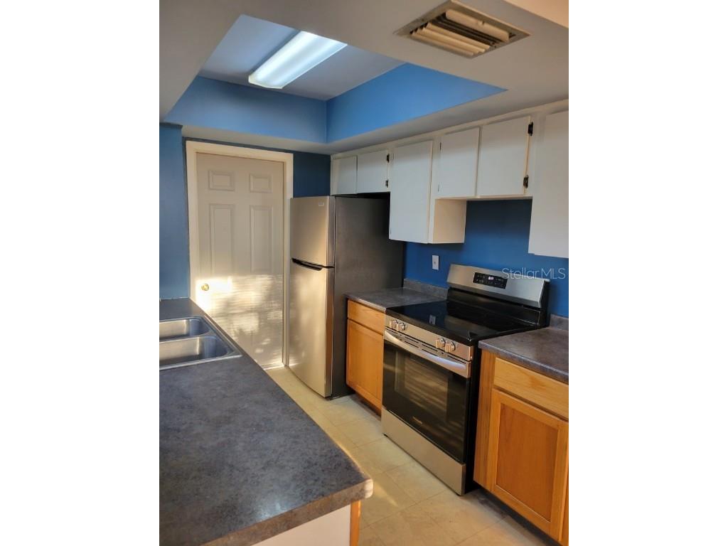 11717 Raintree Drive Tampa FL 33617 TB8426555 image8