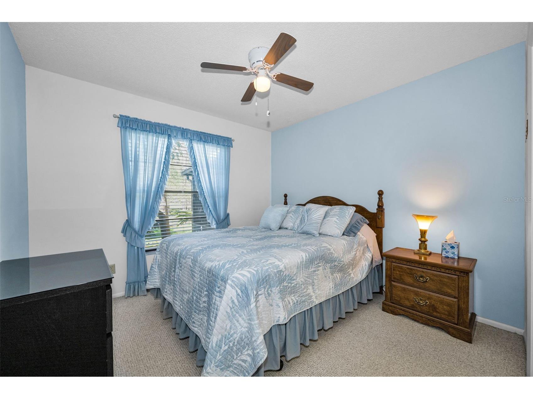 11717 Spring Tree Lane Port Richey FL 34668 TB8482203 image22