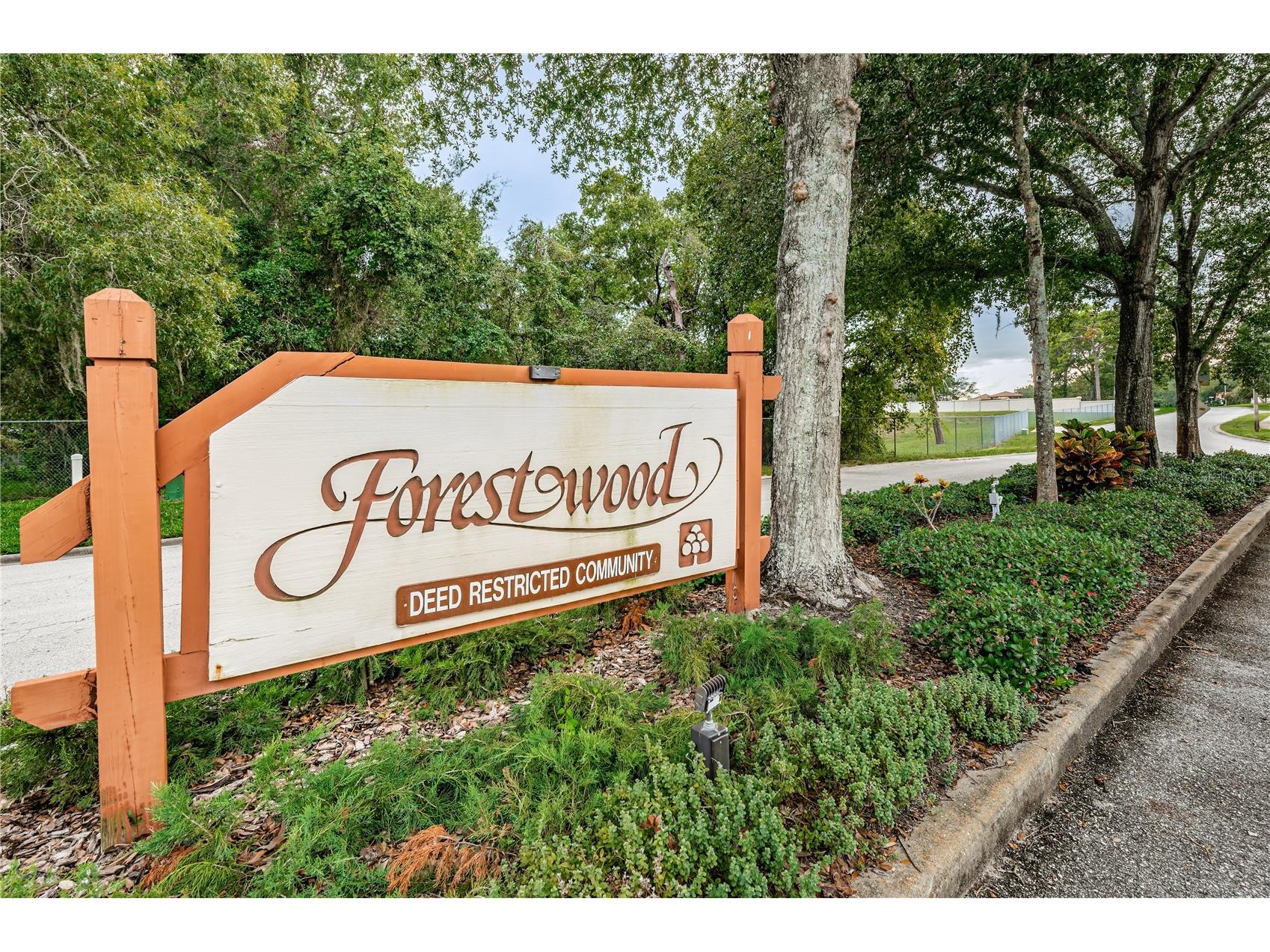 11717 Spring Tree Lane Port Richey FL 34668 TB8482203 image33