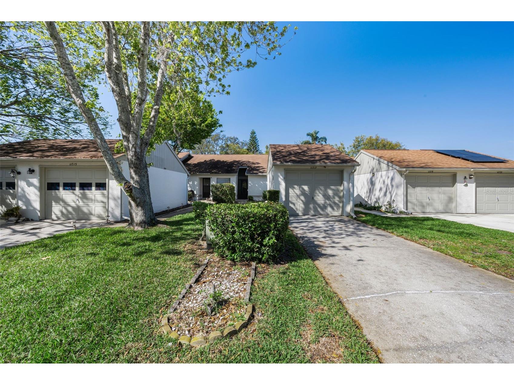 11717 Spring Tree Lane Port Richey FL 34668 TB8482203 image4