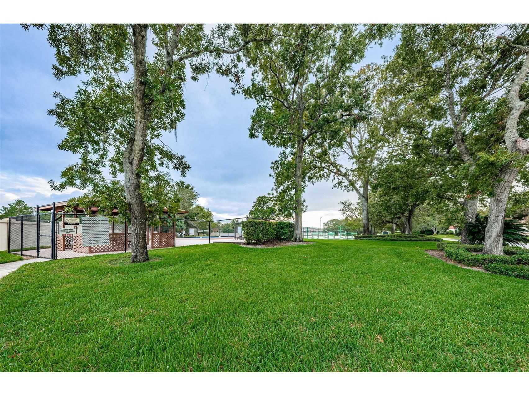 11717 Spring Tree Lane Port Richey FL 34668 TB8482203 image41