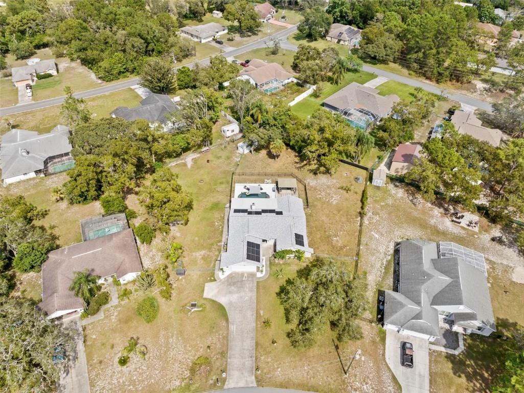 11717 Trumbull Drive Spring Hill FL 34609 TB8431300 image40