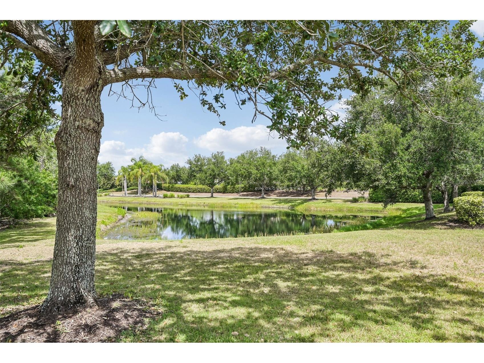 11718 Forest Park Circle Bradenton FL 34211 A4691802 image38