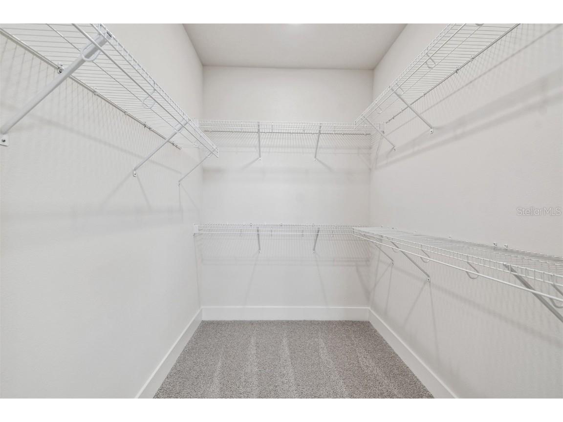 11718 Full Moon Loop Parrish FL 34219 TB8451722 image23