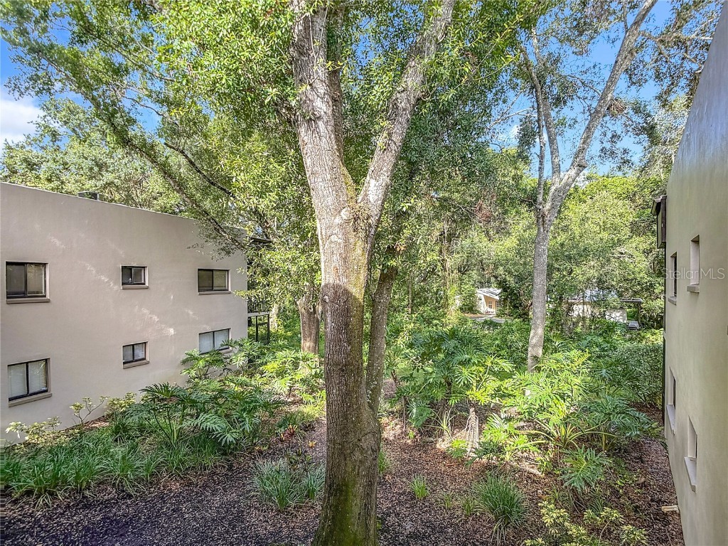 11718 Raintree Village Boulevard #C Temple Terrace FL 33617 TB8404771 image46