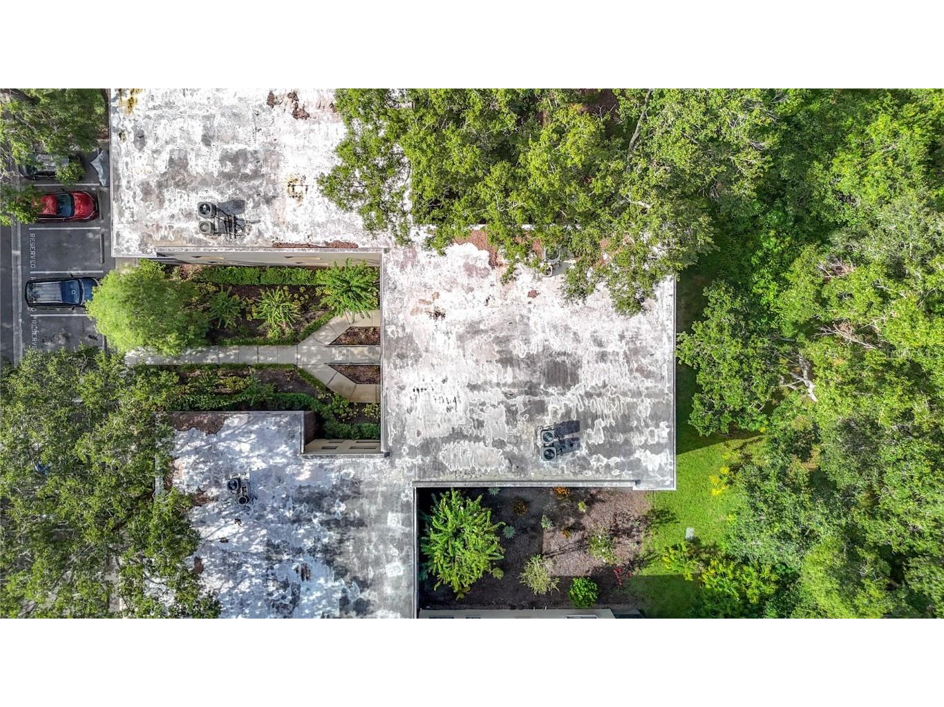 11718 Raintree Village Boulevard #C Temple Terrace FL 33617 TB8404771 image47