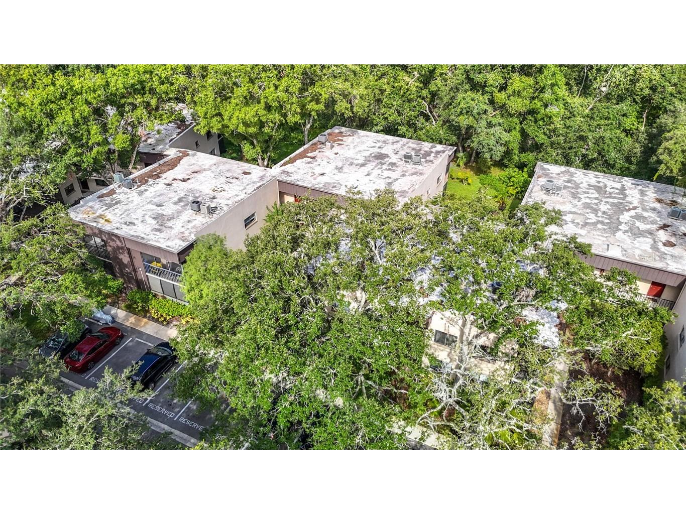 11718 Raintree Village Boulevard #C Temple Terrace FL 33617 TB8404771 image48