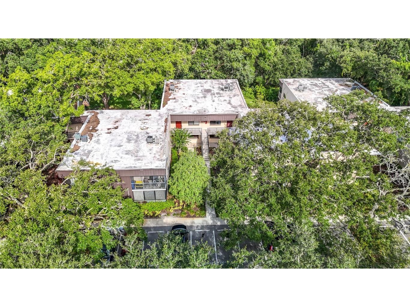 11718 Raintree Village Boulevard #C Temple Terrace FL 33617 TB8404771 image49