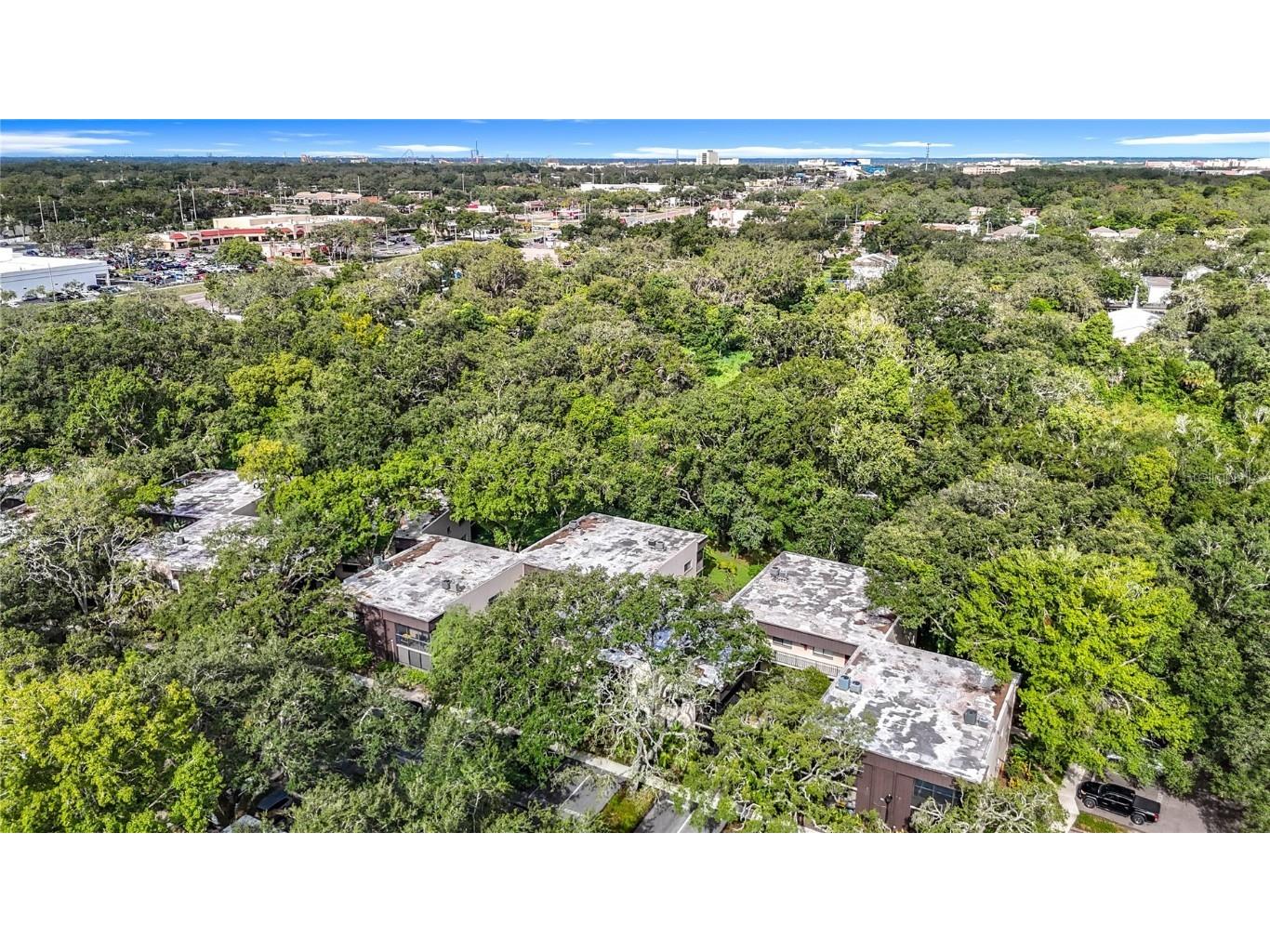 11718 Raintree Village Boulevard #C Temple Terrace FL 33617 TB8404771 image51