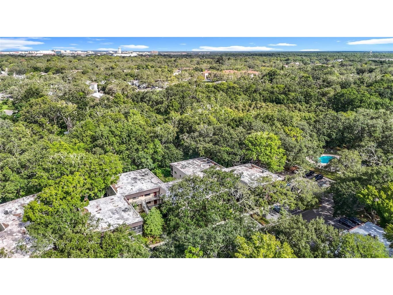 11718 Raintree Village Boulevard #C Temple Terrace FL 33617 TB8404771 image52