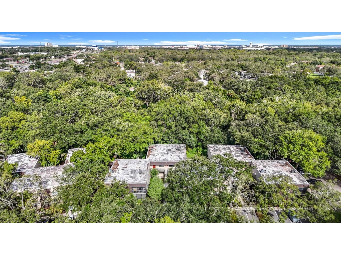 11718 Raintree Village Boulevard #C Temple Terrace FL 33617 TB8404771 image53