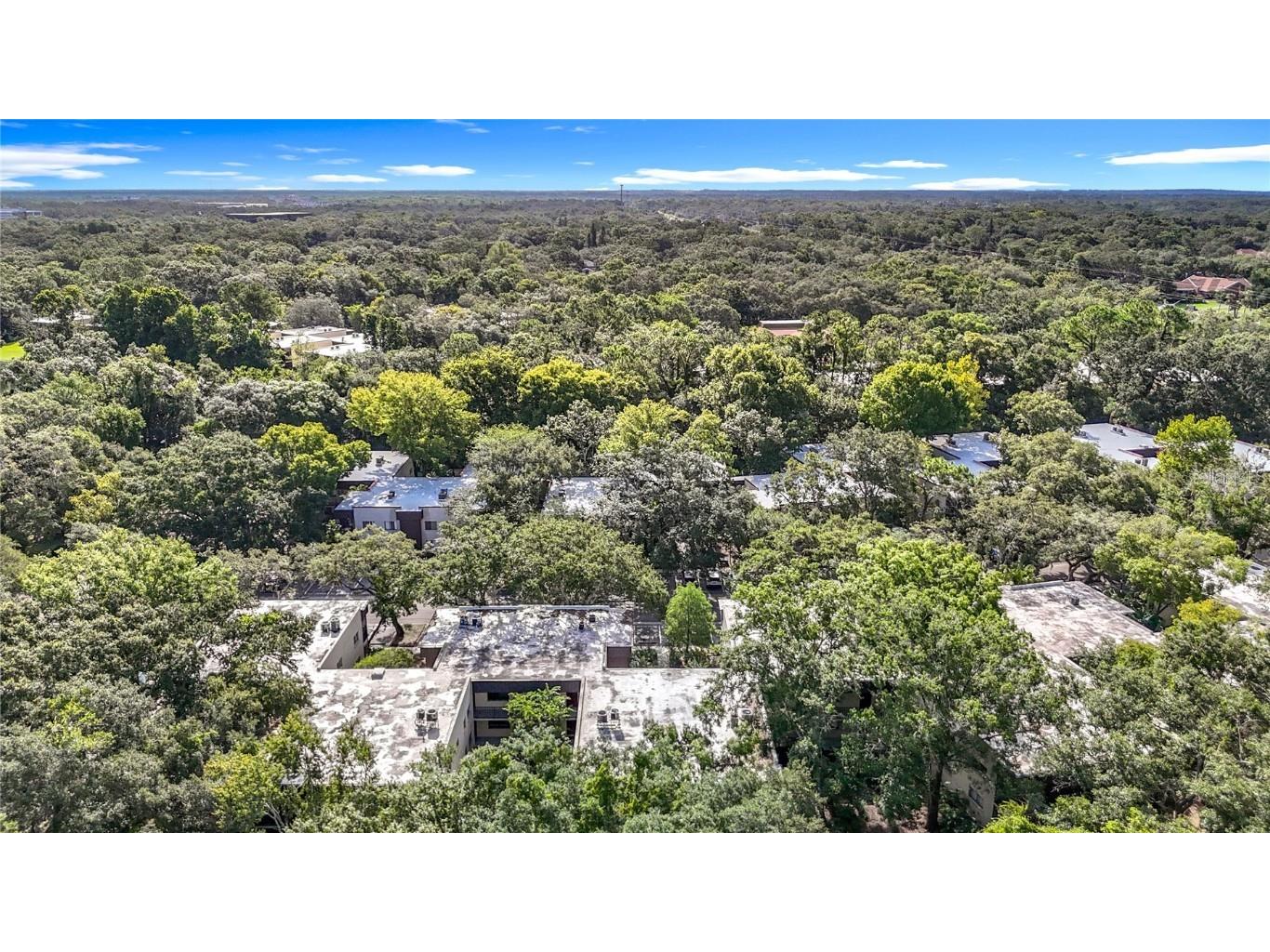 11718 Raintree Village Boulevard #C Temple Terrace FL 33617 TB8404771 image54