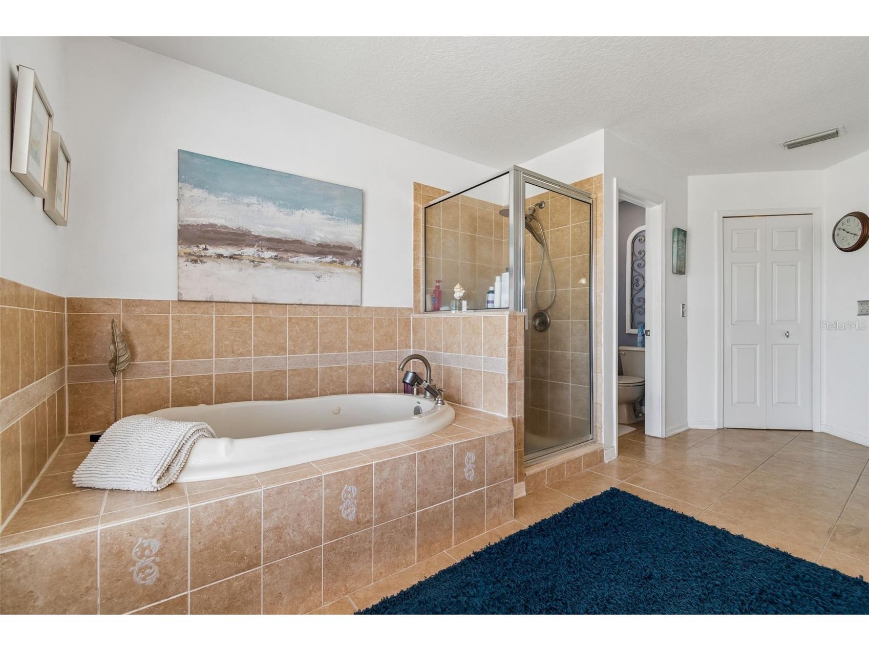 11718 Stonewood Gate Drive Riverview FL 33579 TB8499452 image45