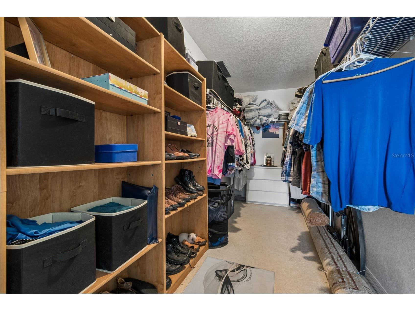 11718 Stonewood Gate Drive Riverview FL 33579 TB8499452 image46