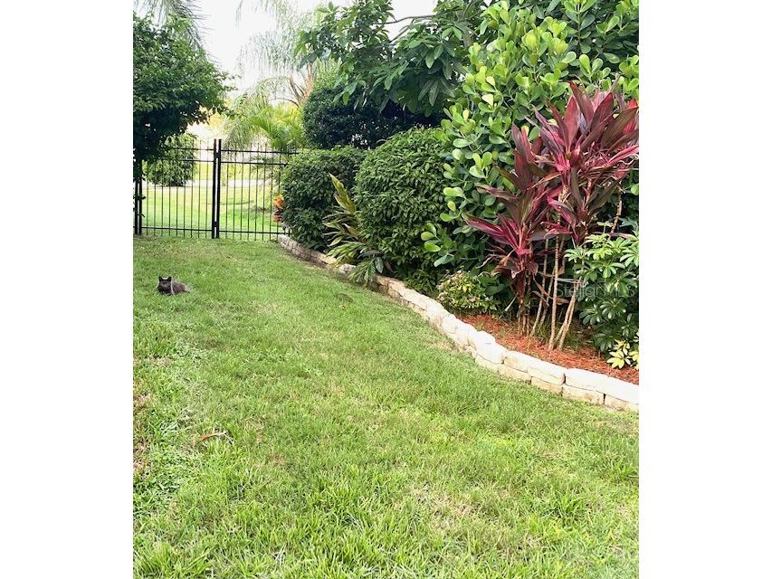 11718 Stonewood Gate Drive Riverview FL 33579 TB8499452 image70