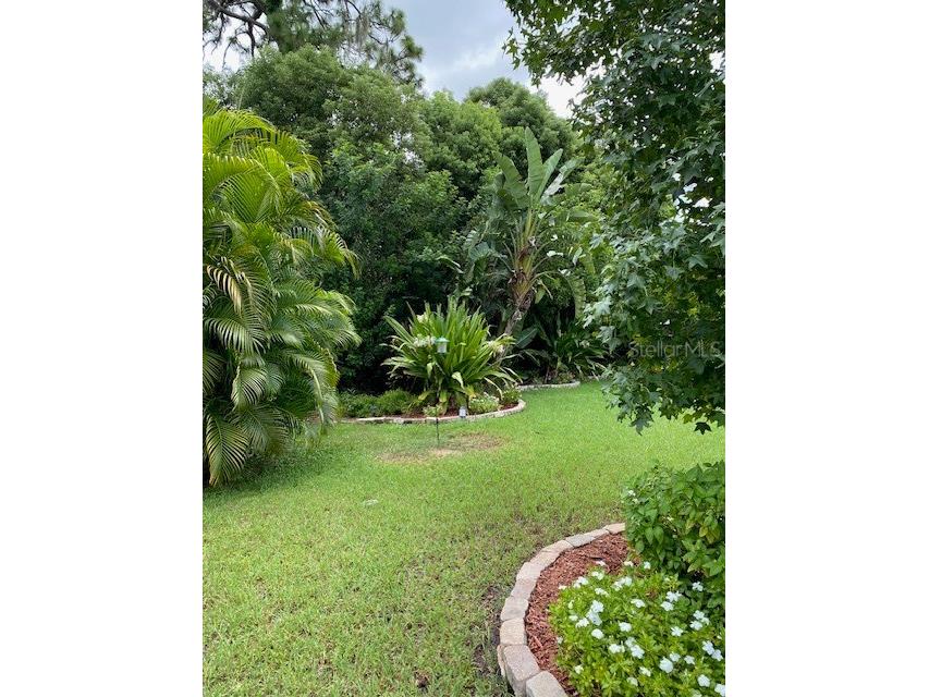 11718 Stonewood Gate Drive Riverview FL 33579 TB8499452 image71